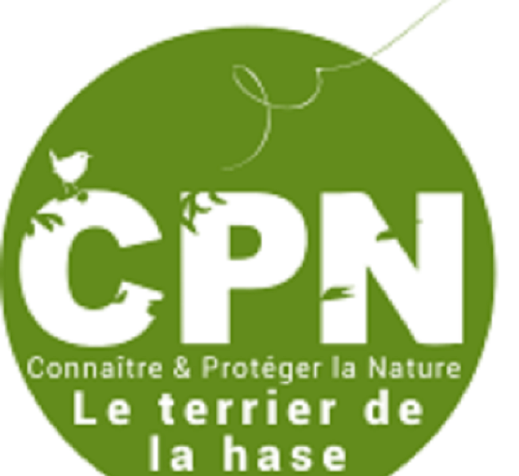 Le terrier de la hase