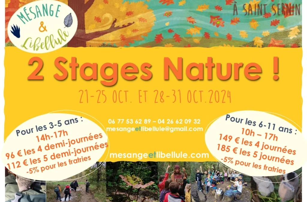 Stages nature d’automne